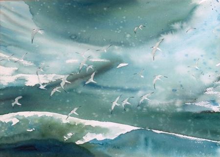SEAGULLS