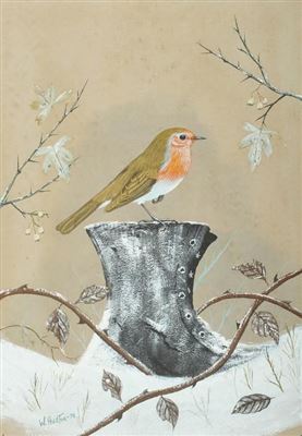 ROBIN