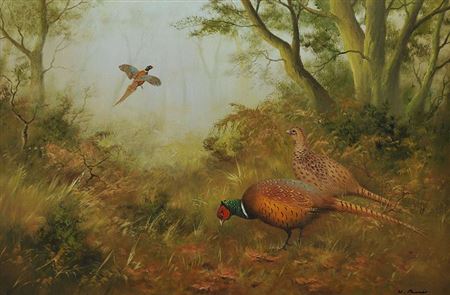 WOODLAND PHEASANTS