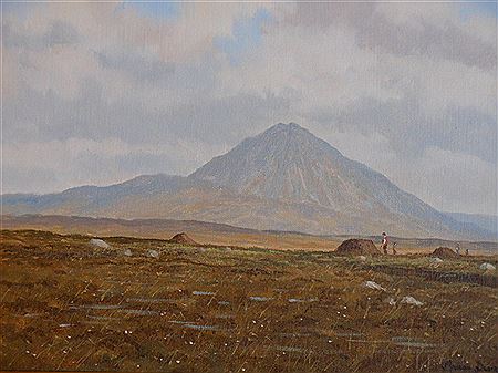 "BOGLANDS NEAR ERRIGAL MOUNTAIN, DONEGAL"