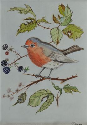 "RED ROBIN"
