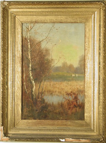 Fall Landscape