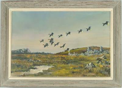 The Deserted Islands Green Landers Landing Near the Ruins