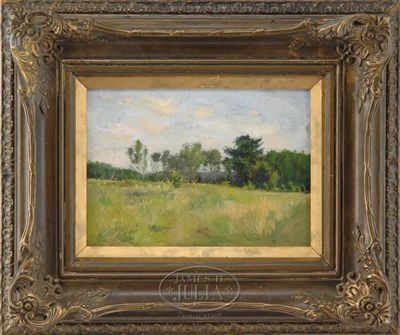 SPRINGTIME MEADOW