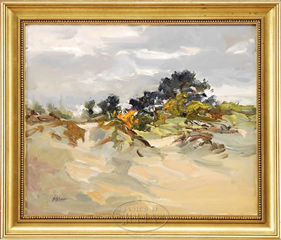 WINTER DUNES