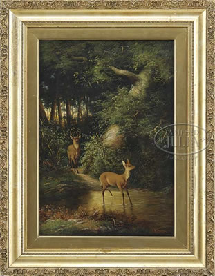 DEER IN A WOODLAND POOL