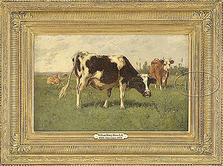 GRAZING COWS