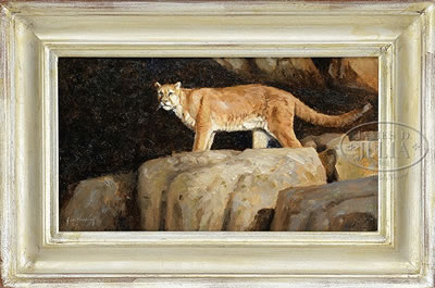MOUNTAIN LION'S LAIR