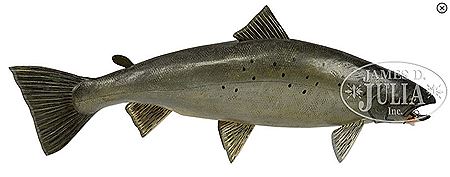 33-1/2? ATLANTIC SALMON