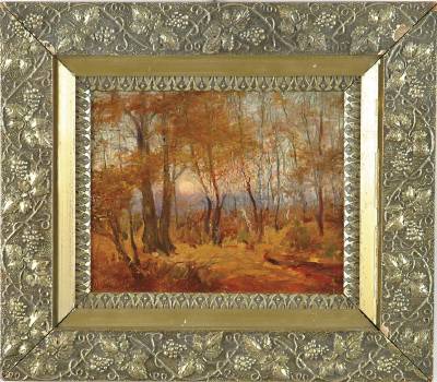 Sun Through Fall Wooded Landscape