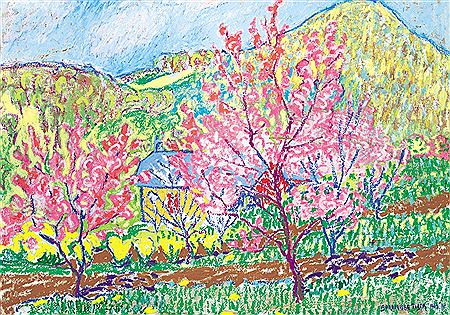 Spring in Baia Mare