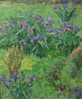 Irises