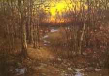 Evening Sunset