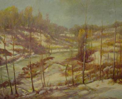 First Snow Landscape