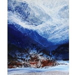 Frozen Ice Land 2010