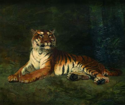 Tigre allongé