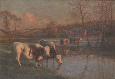 Vaches à l'étang