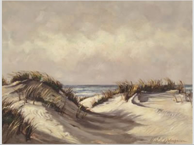 Dünenlandschaft