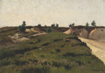 Heidelandschaft