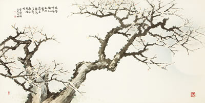 Plum Blossom at Night