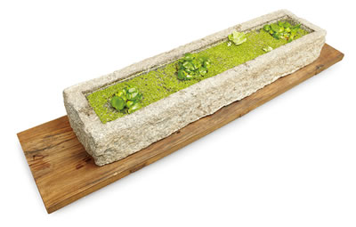 Stone+Water+Grass