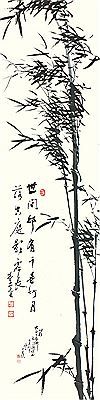 Bamboo