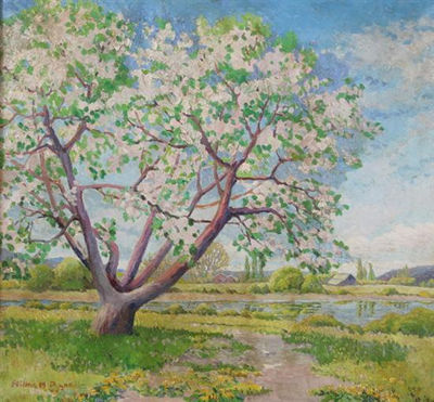 CHERRY BLOSSOM TREE
