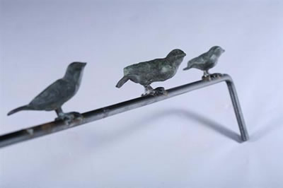 BIRDS ON A LINE