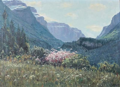 MOUTAINSIDE MEADOW