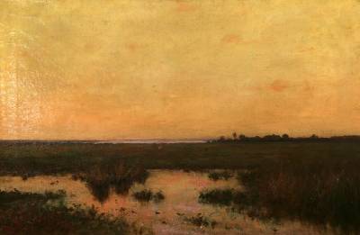 Potomac Marshlands