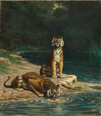 Zwei Tiger an einer Wasserstelle im schattigen Unterholz by Evert Louis Van Muyden - Auction record, sale price, and art valuation. Compare with similar artists and explore comparable artworks.