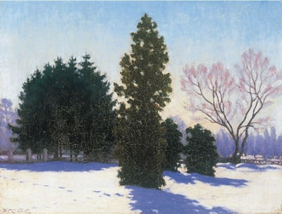 Park in winter