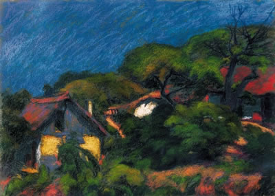 Sunlit House