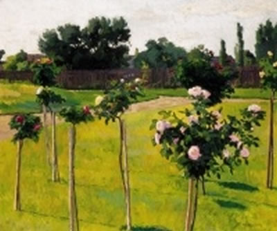 Garden with Roses in Szolnok