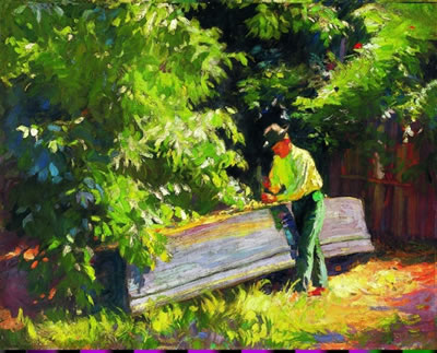 Sunny garden