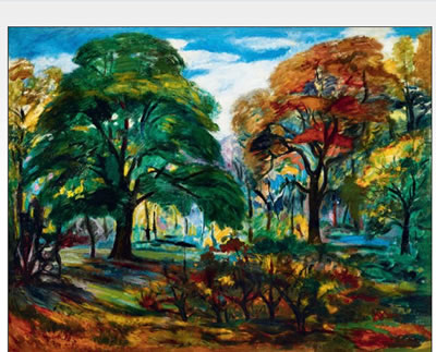 Forest Landscape
