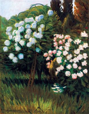 Garden in Nagybánya (Rose Bushes) by Jeno Maticska - Auction record, sale price, and art valuation. Compare with similar artists and explore comparable artworks.