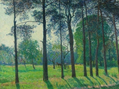 Allee an einer Wiese