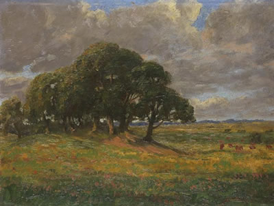 Baumgruppe in Landschaft