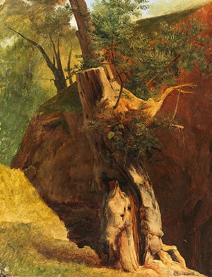 Verwitterter Baumstamm