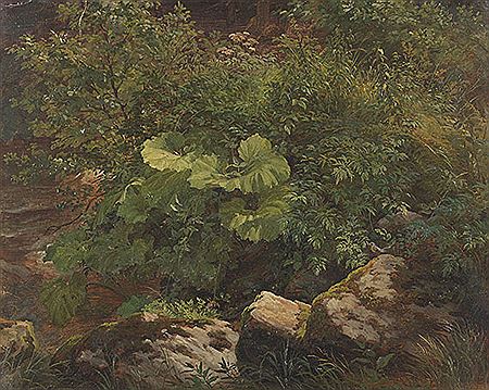 Pflanzenstudie, Ca. 1860/1880