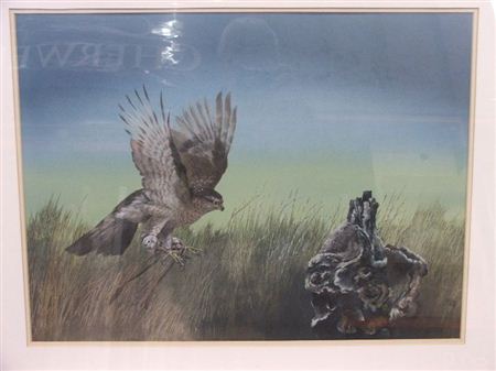Bird of prey landing