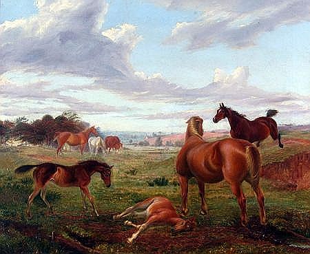 Horses in Extensive Landscape