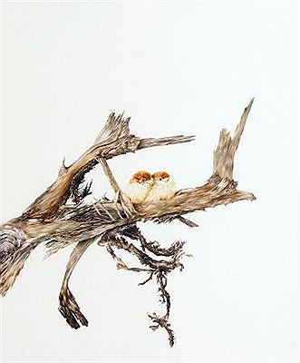 Fledgling Whitethroats by Bryan Reed - Auction record, sale price, and art valuation. Compare with similar artists and explore comparable artworks.