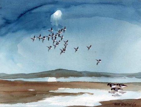 Brent Geese near Scolt Head