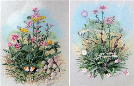 Sample artwork by Robin C Harrison (late 20th century), known for still life painting - View similar artists and auction records