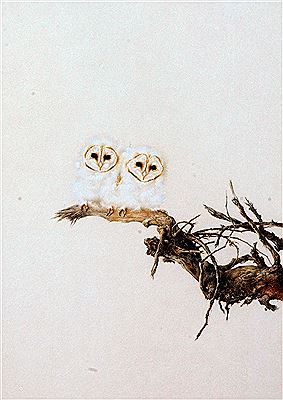 Sample artwork by Bryan Reed (Born 1934), known for painting - View similar artists and auction records