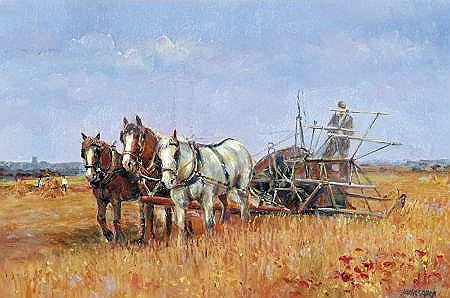 HARVEST WITH THE BINDER, NORFOLK