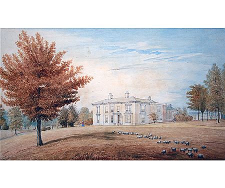 Untitled landscape