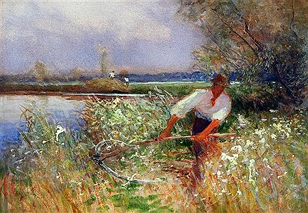 Marsh Harvest